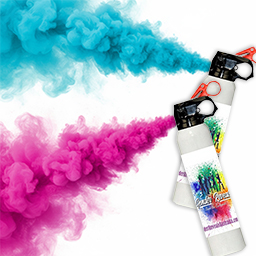 Gender Reveal Mini Blaster